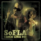 Picture for song 'CHICO LIKE ME (PROD BY INFAMOUS)' by artist 'Sofla'