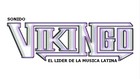 Picture for song 'Salsa Española' by artist 'sonido VIKINGO'