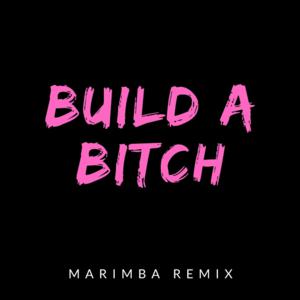 Picture for song 'Sonnerie Build A Bitch Bella Poarch (Marimba Remi' by artist 'SonneriePortable'