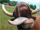 Picture for song '**Dutty Beef** --New Beat-- (No Samples)' by artist 'Soul Xample'