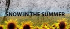 Picture for song 'Snow in The Summer Sp2k13' by artist 'Sp2k15'