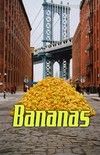 Picture for song 'Bananas' by artist 'Spax'