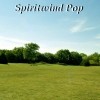 Picture for song 'I Know You Heard Me Now' by artist 'Spiritwind pop'