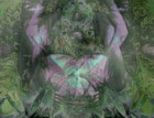 Picture for song 'Ashes Ashes' by artist 'Weishaupt'