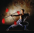 Picture for song 'Shaolin Classic' by artist 'sras'