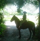 Picture for song 'Woman of Spain - Studio Instrumental Version' by artist 'Stephen Verdon'