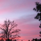 Picture for song 'Beautiful Sky' by artist 'Steve Lisenbe'