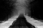 Picture for song 'The Path We Walk' by artist 'Steven Michael'
