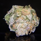 Picture for song 'Purple Kush' by artist 'Street Anthems Productions'