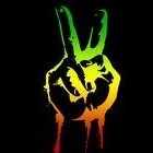 Picture for song '**|Revolution Dub|**' by artist 'styleyD'