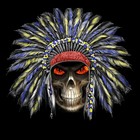 Picture for song 'Native Pride' by artist 'subliminal rekordz'