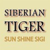 Picture for song 'Siberian Tiger' by artist 'Sun Shine Sigi'