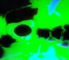 Picture for song 'Semiology' by artist 'Survival Pilot'