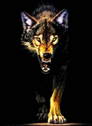 Picture for song 'Nature Of The Beast' by artist 'Swampman And The Machine'