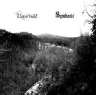 Picture for song 'November Nights' Silence' by artist 'Symbiosis (ITA)'