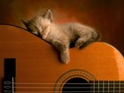 Picture for song 'Solitude' by artist 'Synergy Happens'