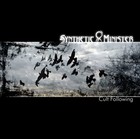 Picture for song 'Just Another Part' by artist 'Synthetic Minister'