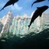 Picture for song 'The Depths of Atlantis' by artist 'Synthetic Movements'