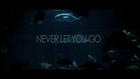 Picture for song '(FREE DL) TAGGED- NEVER LET YOU GO 130 BPM' by artist 'SYNTHETIX PRODUCTIONS'