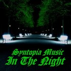 Picture for song 'In The Night' by artist 'Syntopia Music'
