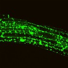 Picture for song 'Thinkin' Back' by artist 'T0XIN'