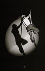 Picture for song 'CIRCUS OF VANITY' by artist 'tamsnumber4'