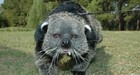 Picture for song 'Mortal Wombat' by artist 'Tao Mechanism'