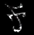 Picture for song 'Tek Luciano - Best For You' by artist 'Tek Luciano'