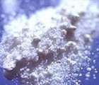 Picture for song 'Powder Mill FREE DL tektrax' by artist 'tektrax'