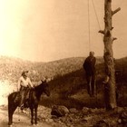 Picture for song 'Trouble Tree' by artist 'Tenth House'