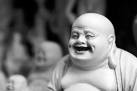 Picture for song 'LAFFIN AT YOU' by artist 'tha ref'