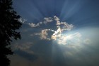 Picture for song 'Mela Sunburst (The Love Bolero)' by artist 'The Al Love Experience'