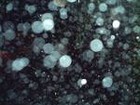 Picture for song 'raindrop reverie' by artist 'The Al Love Experience'
