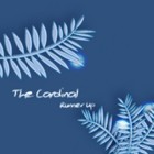 Picture for song 'Delays and Problems' by artist 'The Cardinal'