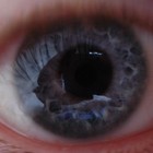 Picture for song 'Sleeper Service' by artist 'The Constant Cold Sweat Fear'