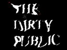 Picture for song 'Caution Blues' by artist 'The Dirty Public'