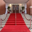 Picture for song 'Red Carpet Royalty' by artist 'The DJ Catastrophy'