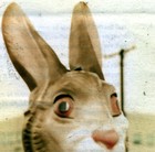 Picture for song 'Behave' by artist 'The Dolley Pond'