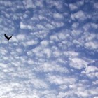 Picture for song 'Out of the Clouds' by artist 'The Dutch Uncles'