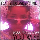 Picture for song 'YOU WISH' by artist 'MORRIS THE FUNKASAURUS'