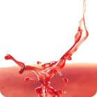 Picture for song ''Animals' with guest vocals' by artist 'The gemini part'