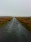 Picture for song 'The Transfiguration of Klaus Dinger' by artist 'the linconshire poacher'