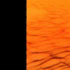 Picture for song 'This Time' by artist 'The Markdanyells'