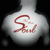 Picture for song 'Tender Mercy' by artist 'THE NEW SOUL (VARIOUS ARTISTS) album'