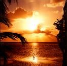 Picture for song 'LaVie' by artist 'TheRealOuzo'