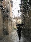 Picture for song 'Rain (full band)' by artist 'The Saguaros'