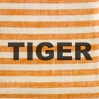 Picture for song 'Tiger' by artist 'The Steppouts'