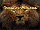 Picture for song '5. My Cat' by artist 'The True Bonanza'
