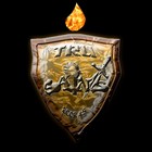 Picture for song 'JUST PRAISE' by artist 'The Tru Saints'