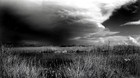 Picture for song 'Stormy Monday' by artist 'The Vault - Selections from Our Scatalogue'